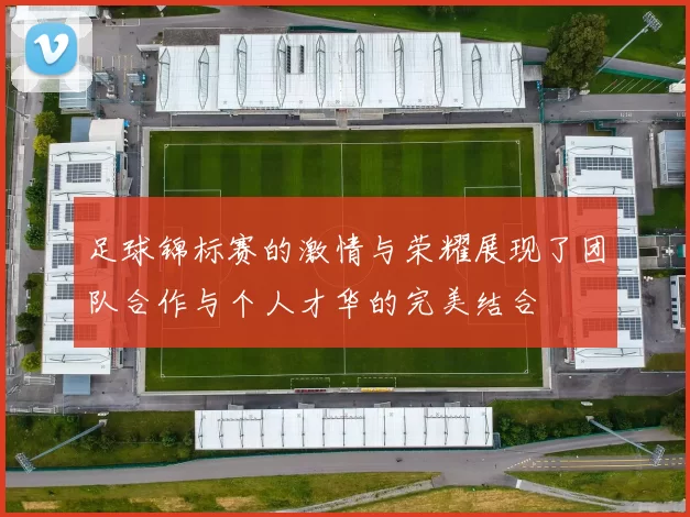足球锦标赛的激情与荣耀展现了团队合作与个人才华的完美结合