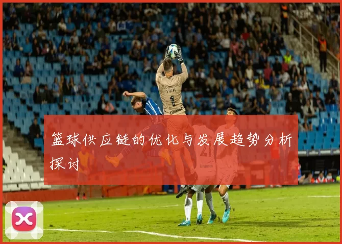 篮球供应链的优化与发展趋势分析探讨
