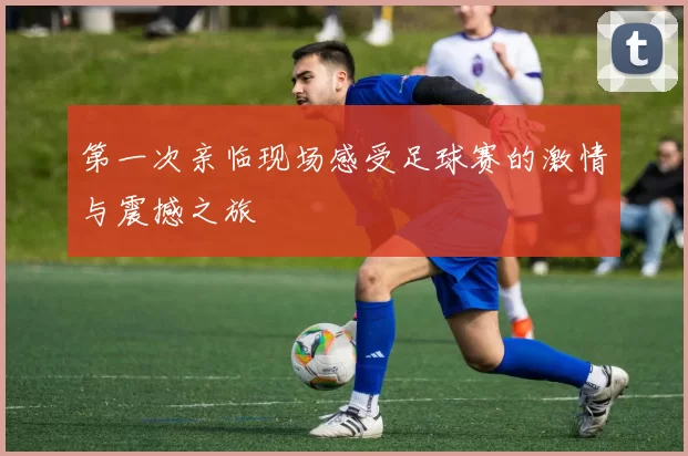 第一次亲临现场感受足球赛的激情与震撼之旅