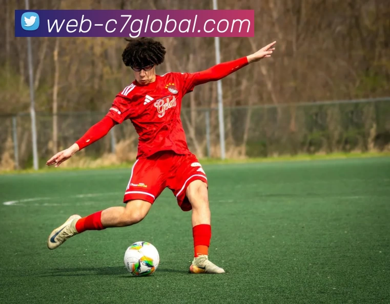 C7娱乐全站服务体系