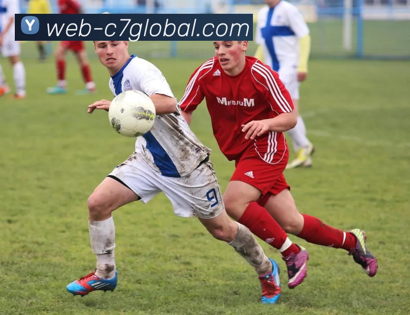 C7娱乐全站APP 体育赛事宣传图